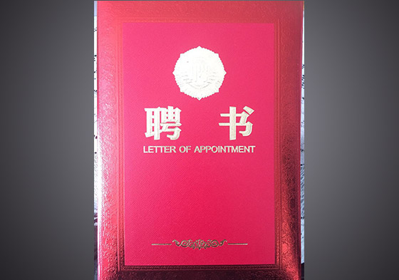 荣誉证书